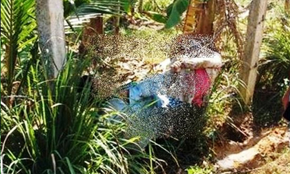 Vợ chồng nông dân chết thảm ở vườn chuối: Truy xét trách nhiệm!