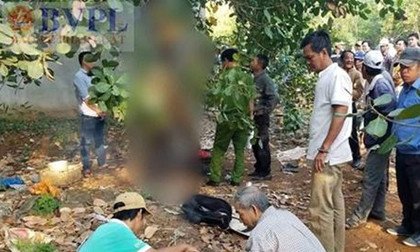 Người đàn ông treo cổ chết trên cây điều