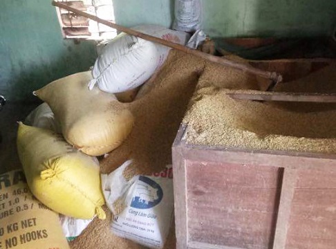 vu mat 49 cay vang trong kho lua: cong an truy tim nghi pham hinh anh 2