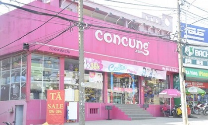Bắt nghi phạm đột nhập cửa hàng Con Cưng phá trộm két sắt