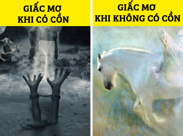 Cơ thể sẽ ra sao nếu bạn ngừng uống rượu bia trong 28 ngày?