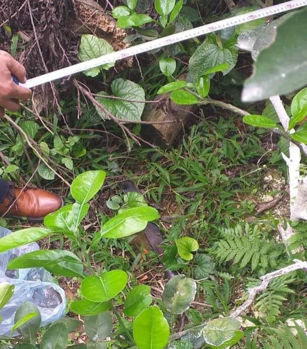 Bắc Giang: Thanh niên tâm thần bị hàng xóm chém 7 nhát vì làm đổ tường gạch và gãy cây cối trong vườn
