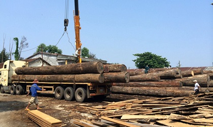 Lái xe bị hàng tấn gỗ tràn xuống đè tử vong