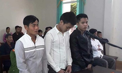 Trộm 70 con gà, 1 con bò, 3 thanh niên lãnh 50 tháng tù