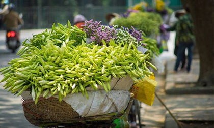 Dự báo thời tiết 21/3: Hà Nội nắng ấm trước khi đón không khí lạnh