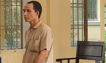 Cái giá phải trả của người anh giết em trai vì cái hàng rào