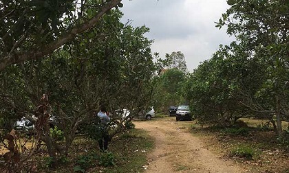 Đột kích sới bạc 'khủng' của Hùng 'sida', thu giữ 60 ô tô