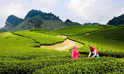 Những địa điểm vui chơi lý tưởng không thể bỏ qua dịp nghỉ lễ 30.4