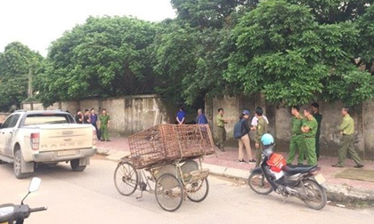 Bắt giữ đàn chó cắn chết bé trai tại Hưng Yên