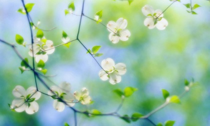 Tử vi thứ sáu ngày 5/4/2019 của 12 cung hoàng đạo mới và chuẩn nhất