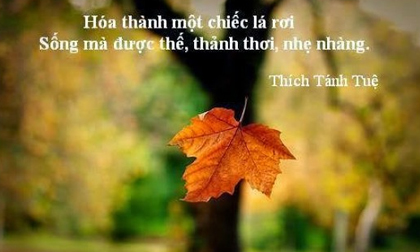 Phật dạy: Thắng lợi lớn nhất đời người là còn sống, an vui lớn nhất đời người chính là sự bình thản