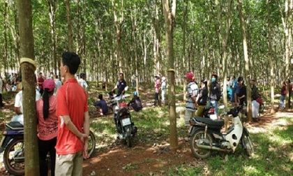 Bà Rịa-Vũng Tàu: Phát hiện thi thể nam thanh niên trong tư thế treo cổ giữa lô cao su