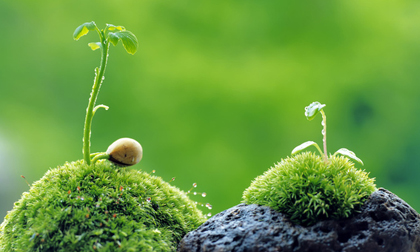 Tử vi 12 cung hoàng đạo thứ hai ngày 22/4/2019 mới nhất, chuẩn nhất