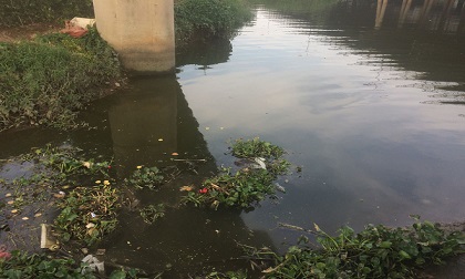 Hốt hoảng phát hiện thi thể người phụ nữ nổi trên sông Sài Gòn