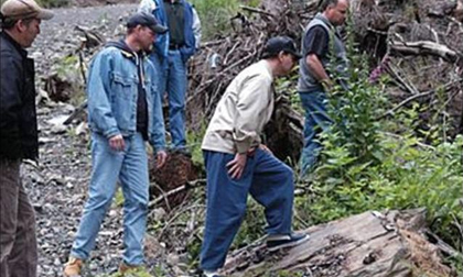 Sát thủ chuyên giết gái mại dâm: Cuộc điều tra bế tắc