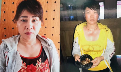 Khởi tố hai người phụ nữ dàn cảnh đánh ghen cướp vàng