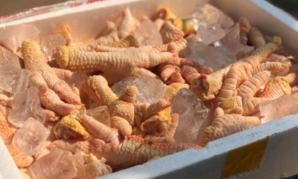 Chuyện lạ: Chân gà khổng lồ, 400 ngàn/kg vẫn cháy hàng