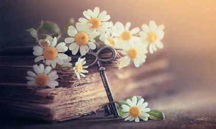 Tử vi 12 cung hoàng đạo chủ nhật ngày 5/5/2019 mới và chuẩn nhất