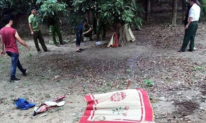 Diễn biến nóng vụ bác rể giết cháu họ, giấu xác dưới đống gạch ở Hà Nội