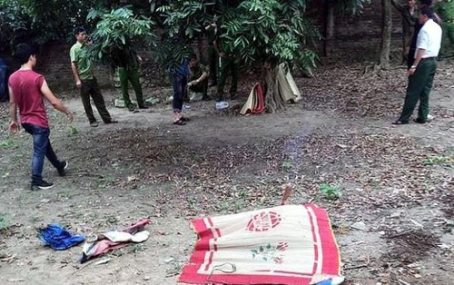 dien bien nong vu bac re giet chau ho, giau xac duoi dong gach o hn hinh anh 1