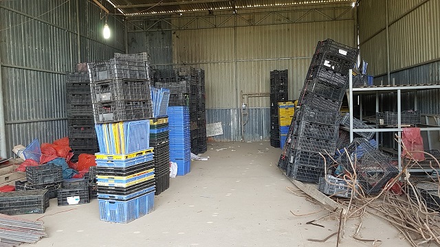 vu giet vo dot xac trong thung phi: loi khai nong hinh anh 2