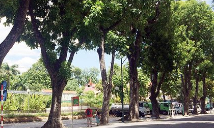 Dự báo thời tiết 13/5: Hà Nội nóng 33 độ