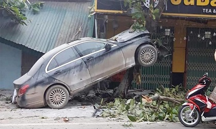 Mất lái, xe ô tô Mercedes 'làm xiếc' trên thân cây bàng