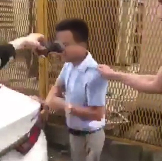 Bị tố sàm sỡ nữ học viên, thầy dạy lái xe tố ngược bị hành hung và dọa 