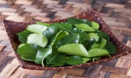 Sốc: Lá chanh ở Việt Nam chỉ để ăn với thịt gà luộc, sang Châu Âu bán 6,3 triệu đồng/kg