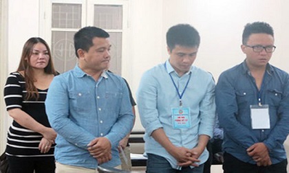 Lừa tiền tỷ, nữ đại gia nhập viện tâm thần, đàn em nhận trái đắng
