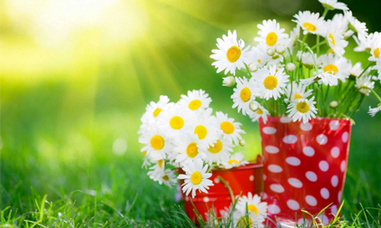 Tử vi 12 cung hoàng đạo thứ sáu ngày 24/5/2019 mới nhất, chuẩn nhất