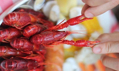 Những cảnh báo nguy hại về sức khỏe nếu bạn ăn tôm hùm đất