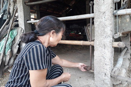 Phẫn nộ kẻ gian xẻ thịt 2 đùi bò mẹ đang mang thai rồi trộm đi - Ảnh 2. Phẫn nộ kẻ gian xẻ thịt 2 đùi bò mẹ đang mang thai rồi trộm đi - Ảnh 2.