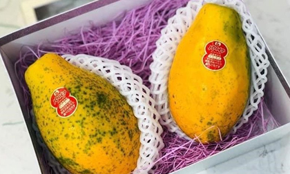 Những loại trái cây giá siêu đắt của Nhật bán tại Việt Nam