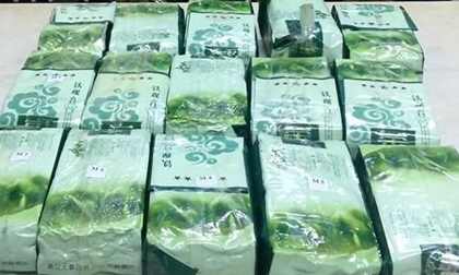 Chặn đường dây vận chuyển 15 kg ma túy đá vào Sài Gòn