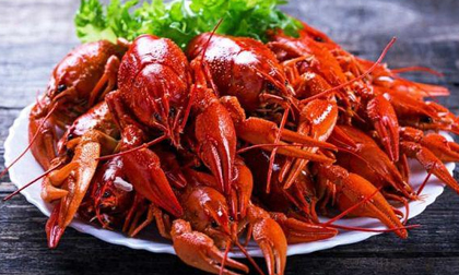 Món tôm hùm đất chị em đang tò mò khiến hai thanh niên nhập viện cấp cứu