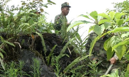 Tìm thấy thi thể bà cụ 80 tuổi sau 4 ngày đi lạc trong rừng ở Lào Cai