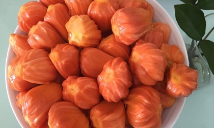 Mít có màu lạ đắt gấp 10 lần mít thường vẫn khiến chị em mê mẩn