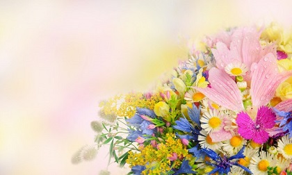 Tử vi 12 cung hoàng đạo thứ tư ngày 19/6/2019 mới và chuẩn nhất