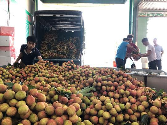 vai thieu cang vao chinh vu gia cang tang soc, len den tren 70.000 dong/kg - 1