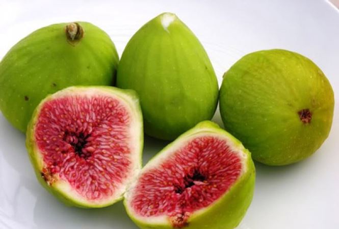 Ngoài là 'thần dược' chống ung thư, quả sung còn chữa được rất nhiều bệnh - 1