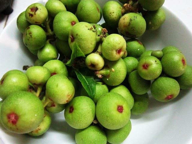 Ngoài là 'thần dược' chống ung thư, quả sung còn chữa được rất nhiều bệnh - 2