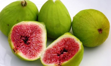 Ngoài là 'thần dược' chống ung thư, quả sung còn chữa được rất nhiều bệnh
