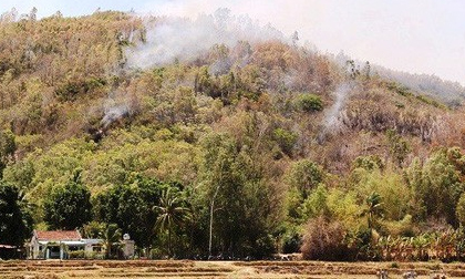 Bom, đạn nổ vang trời trong đám cháy rừng ở Bình Định