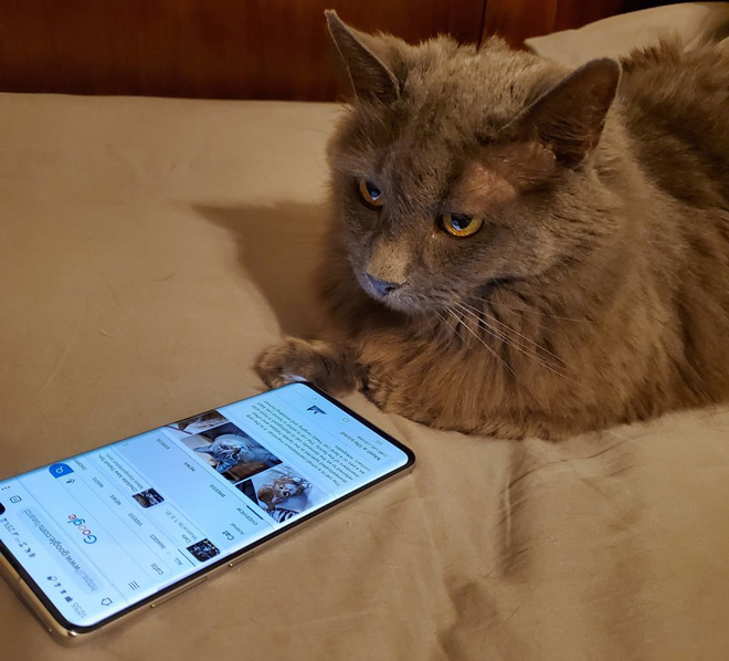 Sốc: Người dùng smartphone đang bị nghe lén - 3
