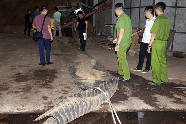 tp.hcm: nam cong nhan xuong co khi bi dong nghiep dam chet hinh anh 1