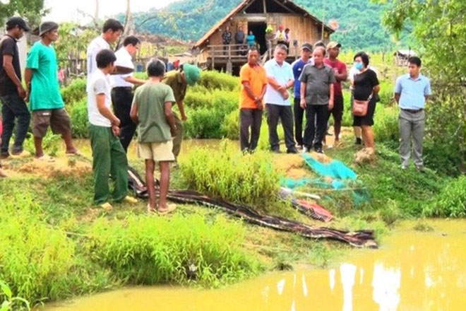 Khánh Hòa: 4 em nhỏ chết đuối thương tâm tại ao nước trước nhà - 2
