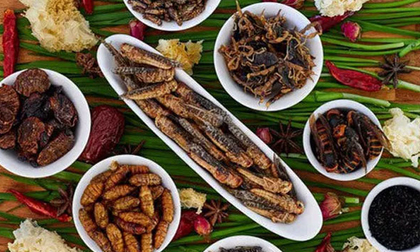 Món ăn kỳ quái nhưng chống ung thư cực kỳ hiệu quả