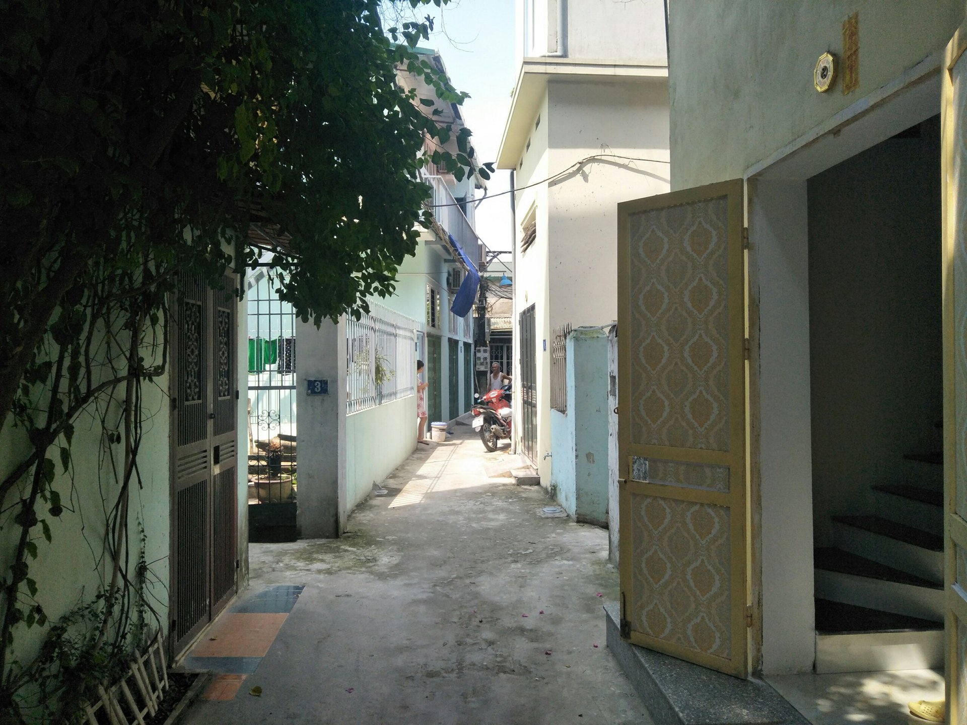 Hàng xóm kể lại giây phút kinh hoàng cụ bà bị chó dữ tấn công bê bết máu - 1