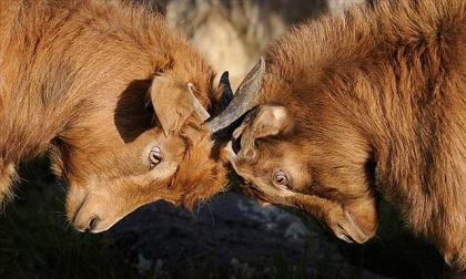 7 điều không tưởng mà bạn nên ngừng theo đuổi nếu muốn cuộc sống hạnh phúc hơn